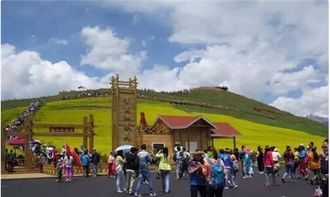 两岸观光交流停滞，台湾旅游业何处觅“救命稻草”？