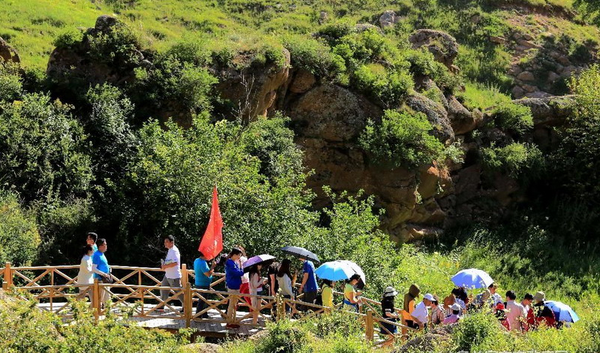辉腾锡勒草原繁花似锦，盛夏旅游观光正当时